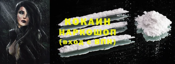 гашик Майский