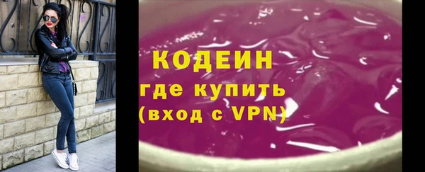хмурый Магас