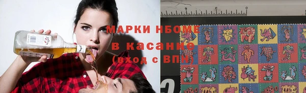 гашик Майский