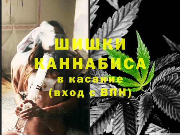 хмурый Магас