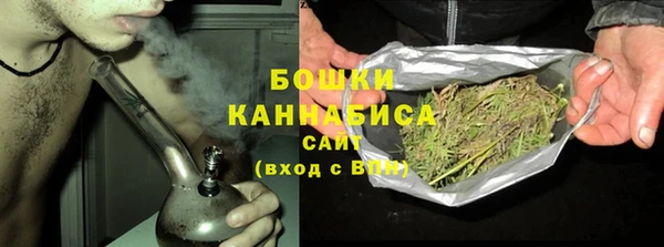 хмурый Магас