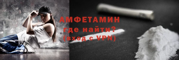 гашик Майский