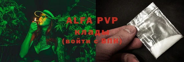 хмурый Магас