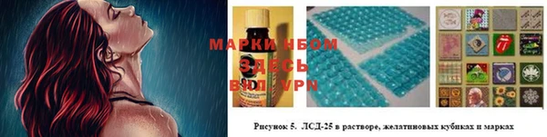 хмурый Магас