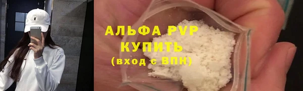хмурый Магас