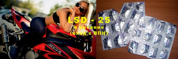 гашик Майский